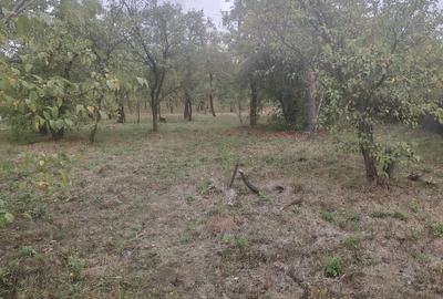 Casă cu 5 camere cu Teren 2800 Mp în Iris