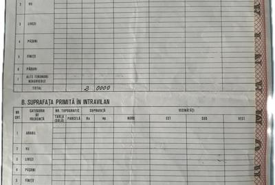 Teren de 20000 mp, în Topolog - 2