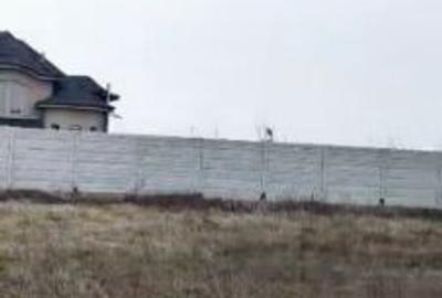 Teren Construcții intravilan de 1000 mp, în Măgurele - 4