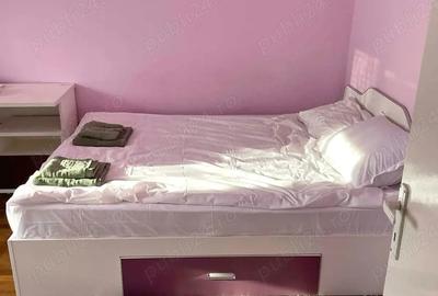 Apartament cu 3 camere decomandat, mobilat în Take Ionescu