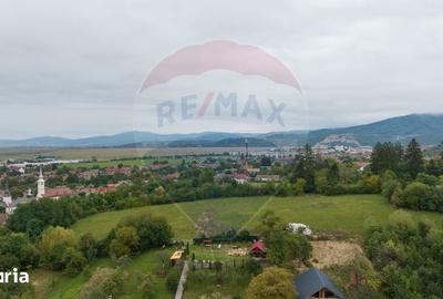Teren de 726 mp, în Poiana Angelescu - 6