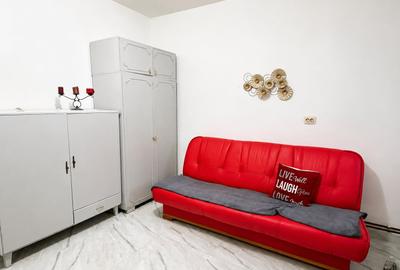 Apartament cu 2 camere semidecomandat, mobilat în Lipovei - 4