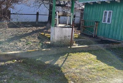 Casă cu 3 camere în Bodești - 1