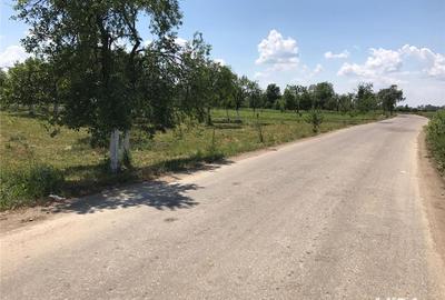 Teren de 3000 mp, în Margina - 1