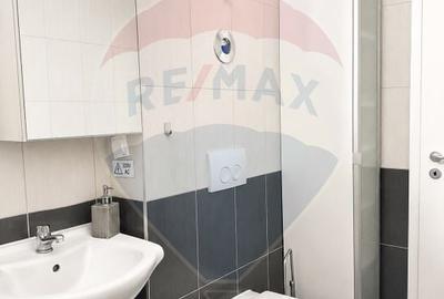 Apartament cu 2 camere decomandat, mobilat în Bartolomeu - 8