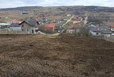 Teren de 1350 mp, în Dorobanț - 9