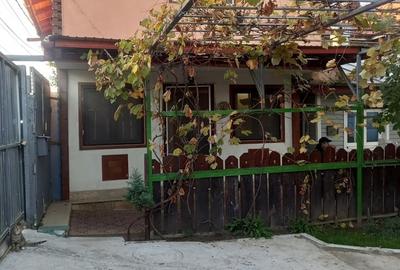 Casă cu 4 camere cu Teren 500 Mp în Pantelimon - 5