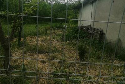 Casă în Țăndărei