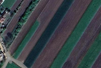 Teren de 5000 mp, în Arcalia - 2
