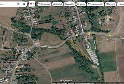 Teren de 1700 mp, în Lipoveni - 3