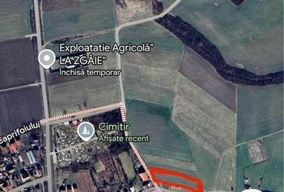 Teren de 2200 mp, în Sânmihaiu Român