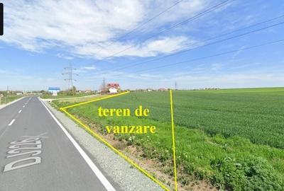 Teren de 6600 mp, în Corbu - 4