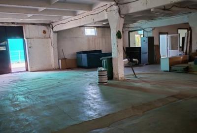 Spațiu comercial, de 350 mp, în Dumbrăvița - 1