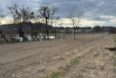 Casă cu 4 camere cu Teren 1000 Mp în Central