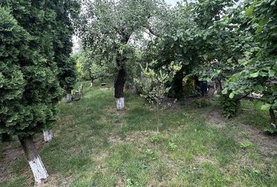 Casă cu 4 camere în Vermeș - 6
