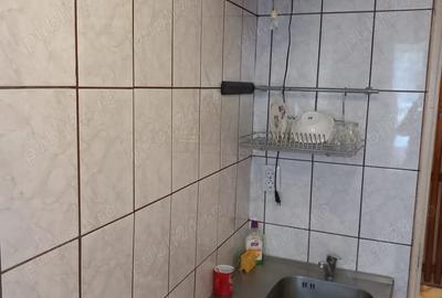 Apartament cu 2 camere semidecomandat în Banat - 2