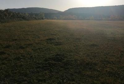Teren de 3200 mp, în Bănești - 9