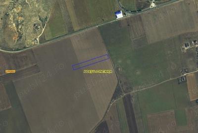 Teren de 10000 mp, în Limanu - 5