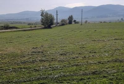 Teren extravilan de 9200 mp, în Băile Miercurea - 5