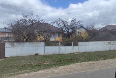 Casă cu Teren 4800 Mp în Stoișești - 5