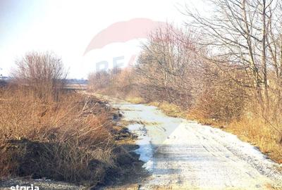 Teren de 4956 mp, în Calea Bârladului - 1