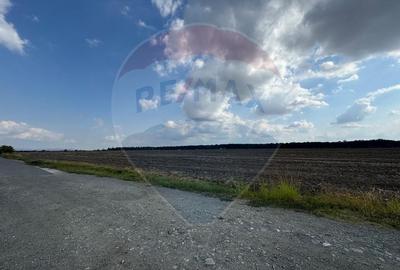 Teren Construcții intravilan de 577 mp, în Vladimirescu - 3