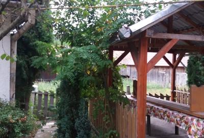 Casă cu 4 camere în Sânmihaiu de Câmpie - 13