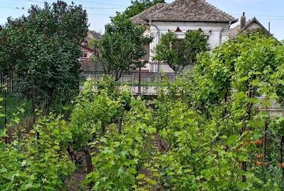 Casă cu 4 camere în Boureni