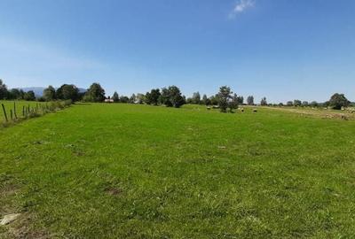 Teren de 9350 mp, în Bran