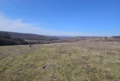 Teren de 10600 mp, în Hidiș - 3