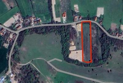 Teren Construcții intravilan de 5995 mp, în Șumugiu - 1