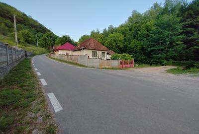 Casă individuală cu 4 camere cu Teren 8700 Mp în Băița - 4