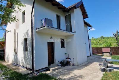 Casă cu 5 camere cu Teren 993 Mp în Calea Caransebeșului