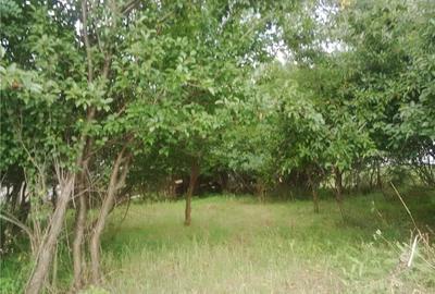 Teren de 7050 mp, în Albota