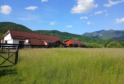 Spațiu comercial, în Cheile Râșnoavei - 4
