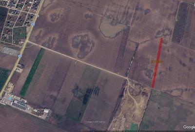 Teren agricol intravilan de 5000 mp, în Dascălu - 3