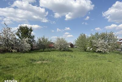 Teren de 4600 mp, în Sânmartin - 2