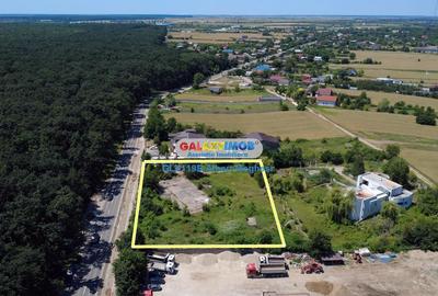 Teren Construcții intravilan de 5000 mp, în Snagov - 12