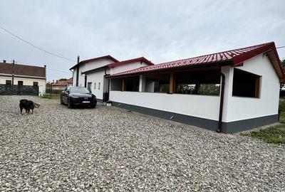 Casă cu 4 camere în Petin - 5