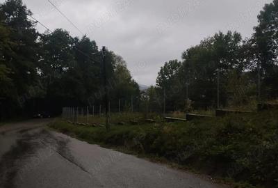 Teren de 6385.6 mp, în Berislăvești - 6