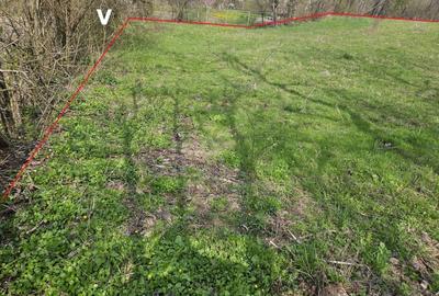 Teren Construcții intravilan de 2640 mp, în Prăjani