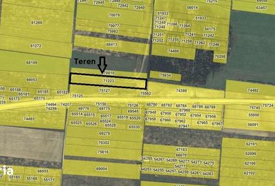 Teren de 7481 mp, în Sânmartin - 7