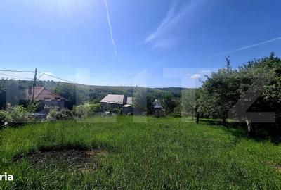 Spațiu comercial, în Feleacu - 2