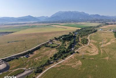 Casă cu 3 camere cu Teren 7500 Mp în Central