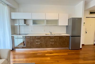 Apartament cu 2 camere semidecomandat în Herăstrău - 2