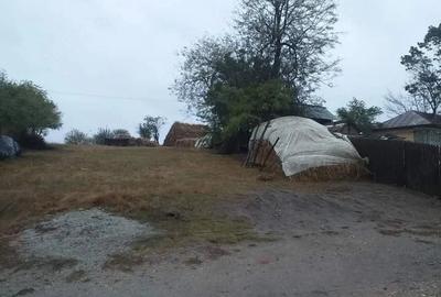Teren de 1980 mp, în Bălteni - 1