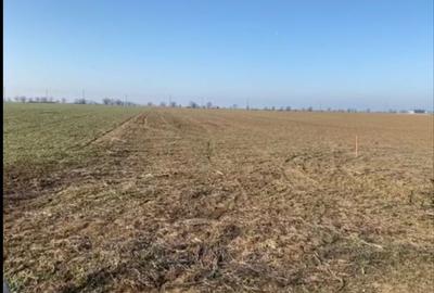 Teren de 70000 mp, în Cornești