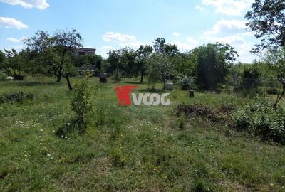 Teren Construcții intravilan de 2810 mp, în Fratelia - 5