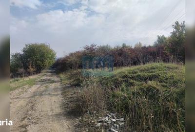 Teren de 2000 mp, în Făget