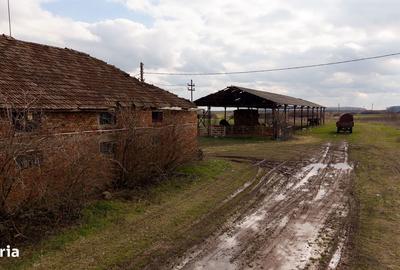 Spațiu comercial, de 3,000 mp, în Mișca - 16
